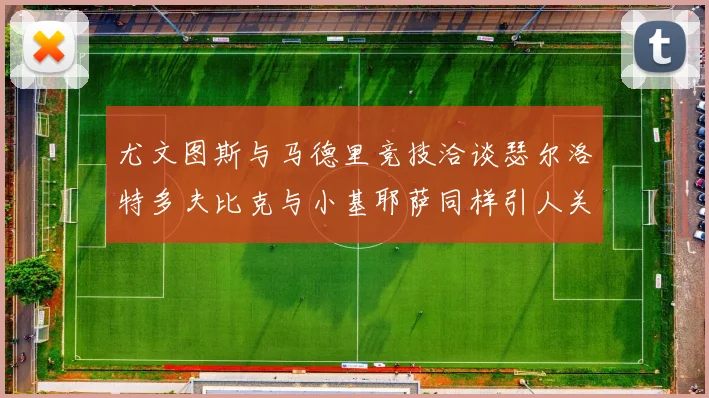 尤文图斯与马德里竞技洽谈瑟尔洛特多夫比克与小基耶萨同样引人关注