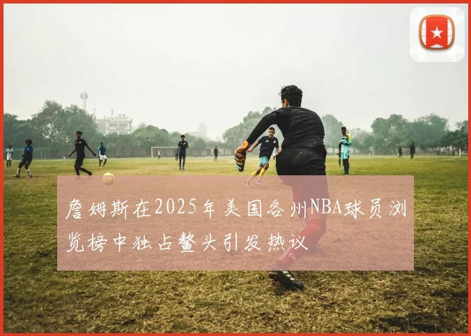 詹姆斯在2025年美国各州NBA球员浏览榜中独占鳌头引发热议