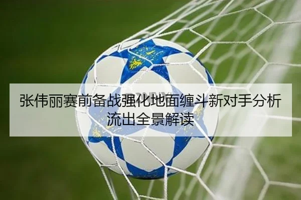 张伟丽赛前备战强化地面缠斗新对手分析流出全景解读